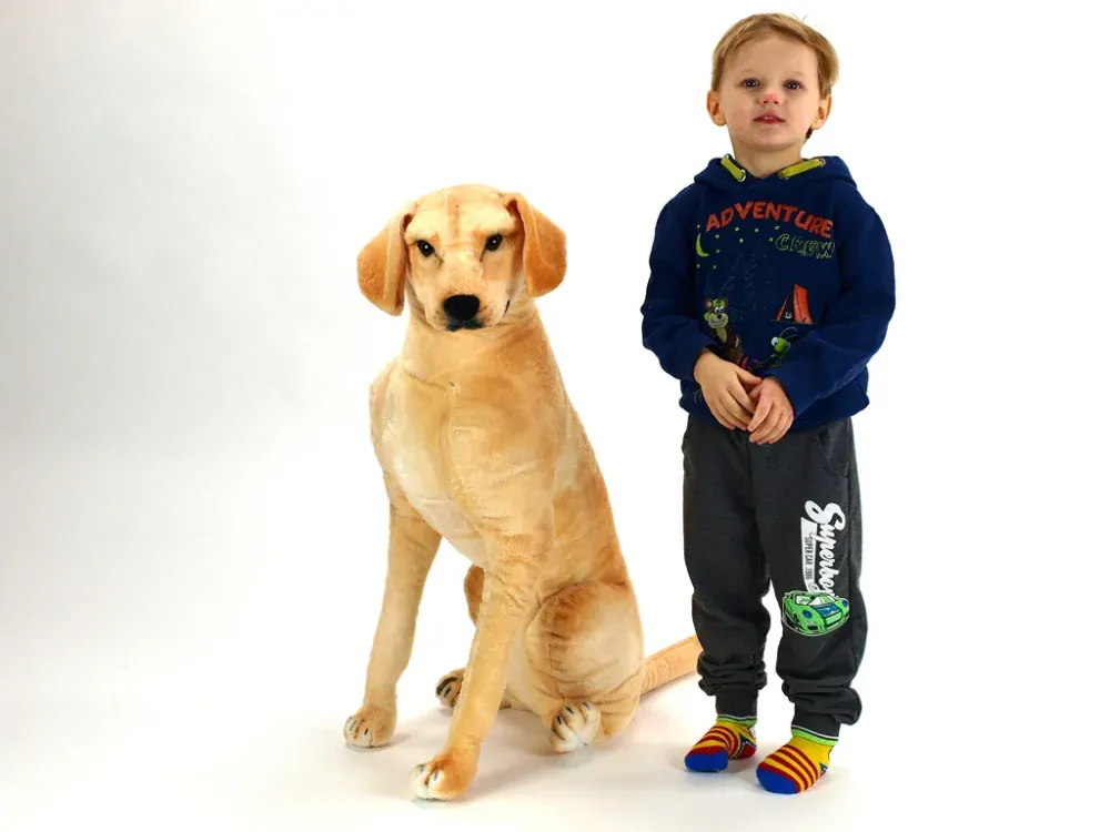 Plyšový sedící pes Labrador jako živý, výška 83 cm