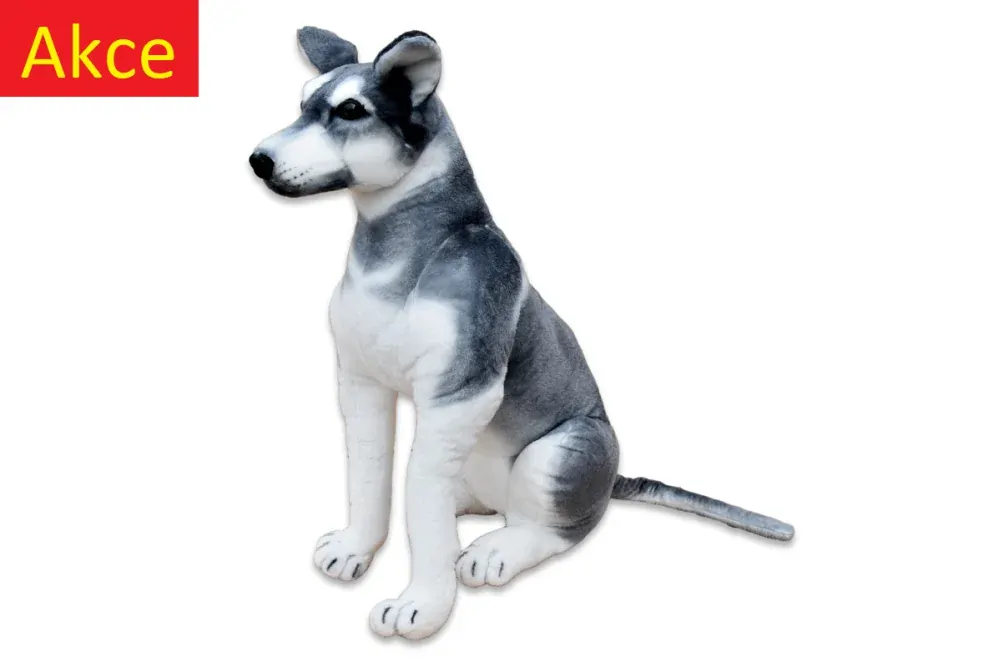 Plyšový pes Husky jako živý, výška 80cm, délka s ocasem 125cm