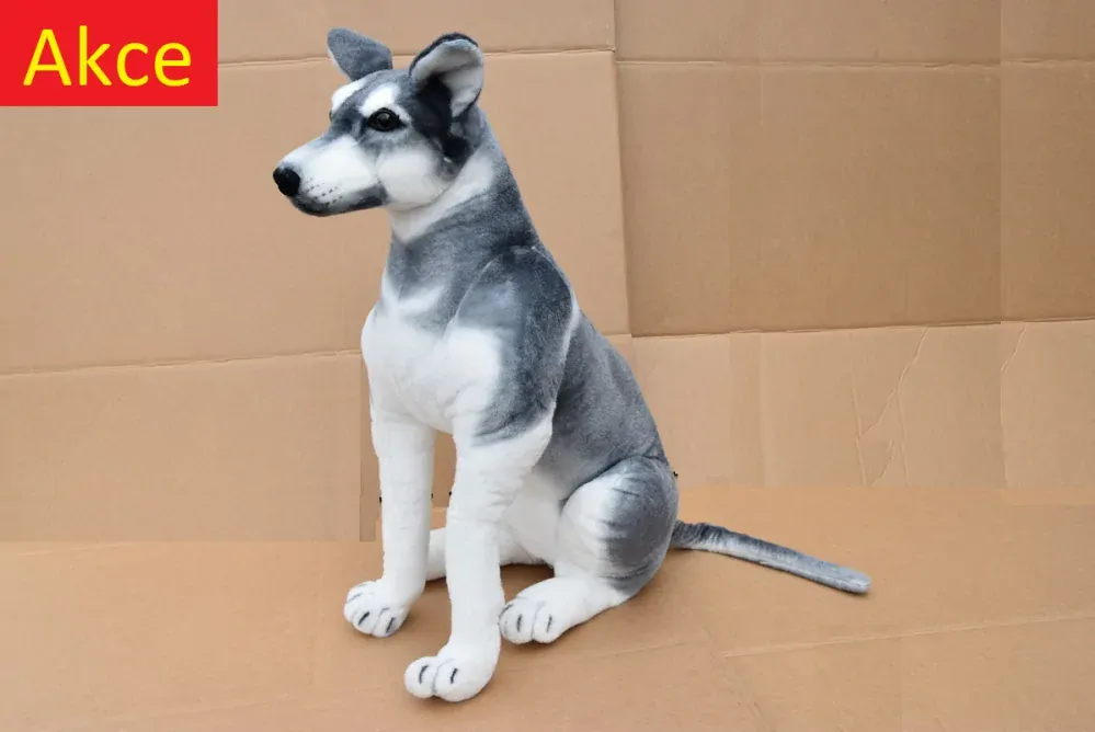 Plyšový pes Husky jako živý, výška 80cm, délka s ocasem 125cm