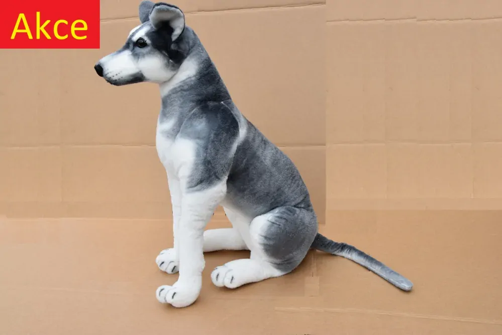 Plyšový pes Husky jako živý, výška 80cm, délka s ocasem 125cm