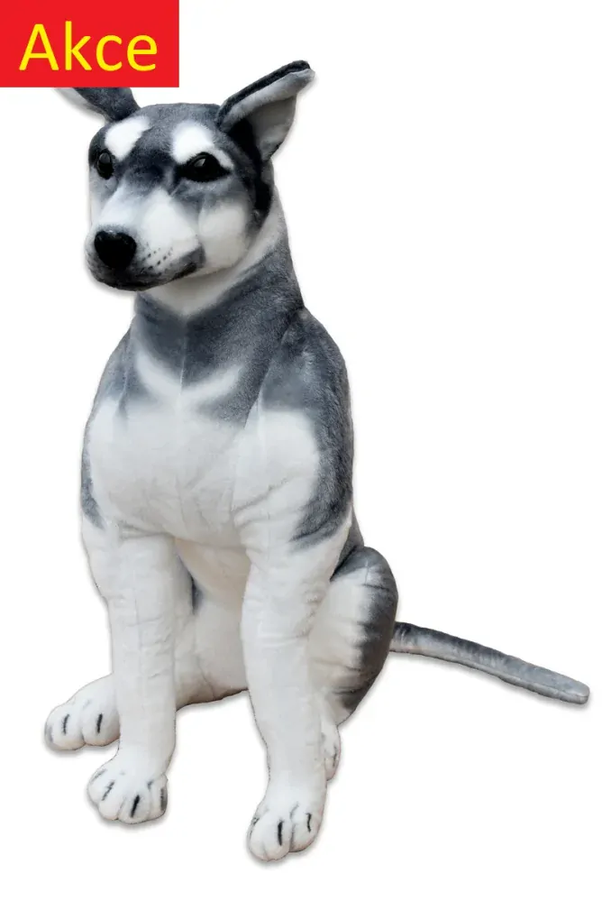 Plyšový pes Husky jako živý, výška 80cm, délka s ocasem 125cm