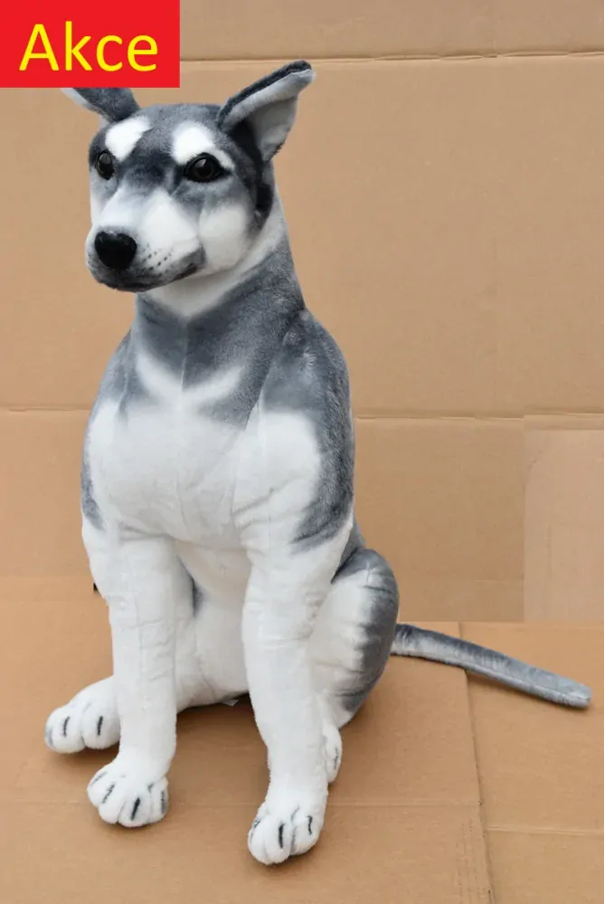 Plyšový pes Husky jako živý, výška 80cm, délka s ocasem 125cm
